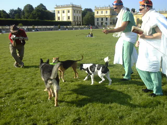 DSC00054.JPG