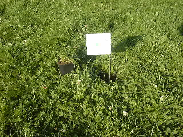 DSC00060.JPG